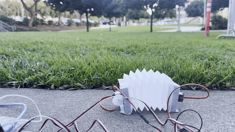 2-DoF Origami Worm