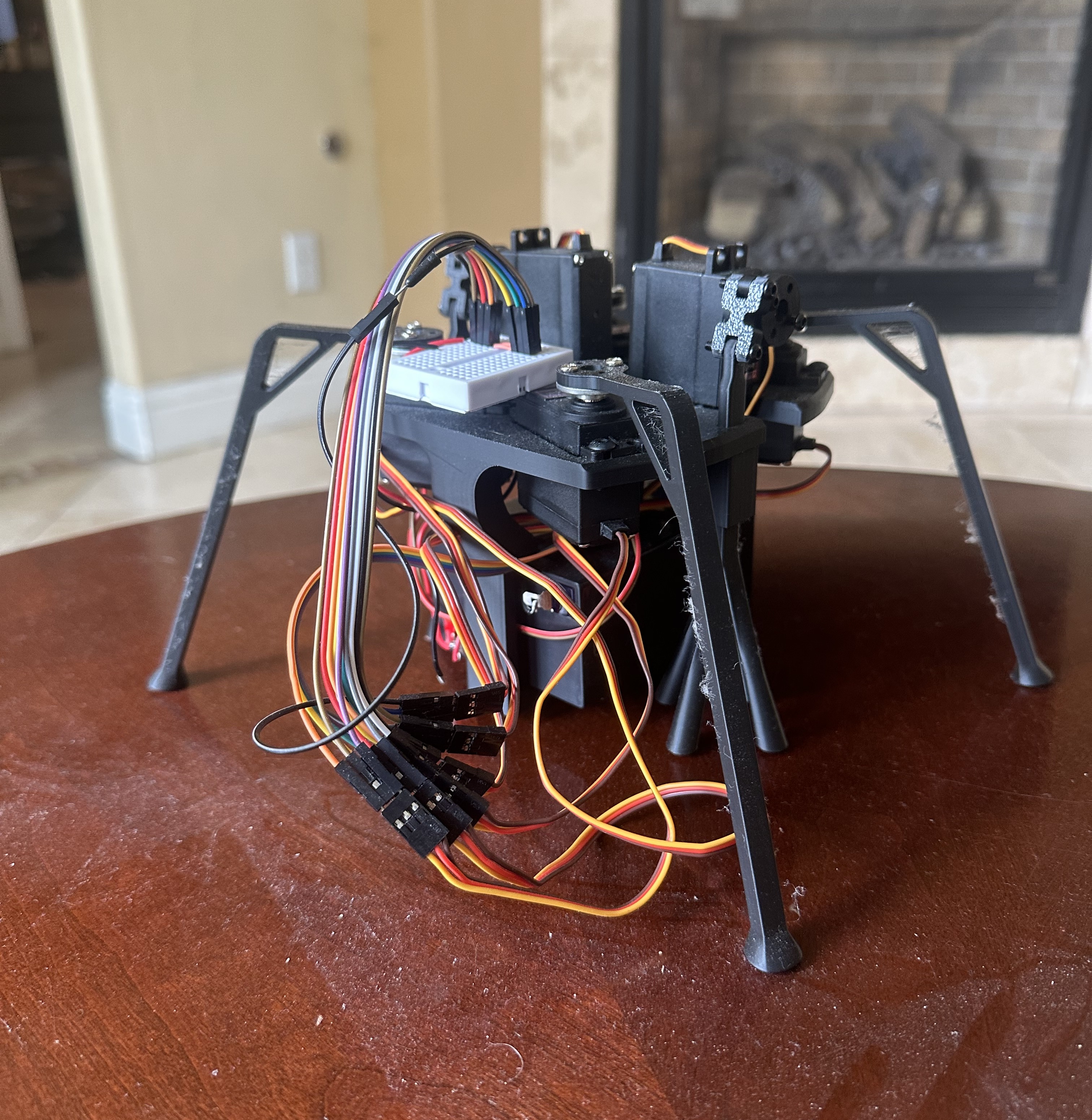 Tarantula Robot